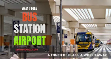 Dubai's Airport Bus Station: A Guide
