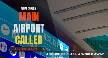 Dubai's Main Airport: All You Need to Know