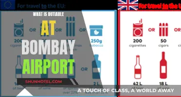 Bombay Airport: Understanding Dutiable Items and Exemptions