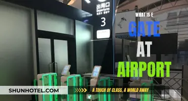 EGates: A Faster, Easier Airport Experience