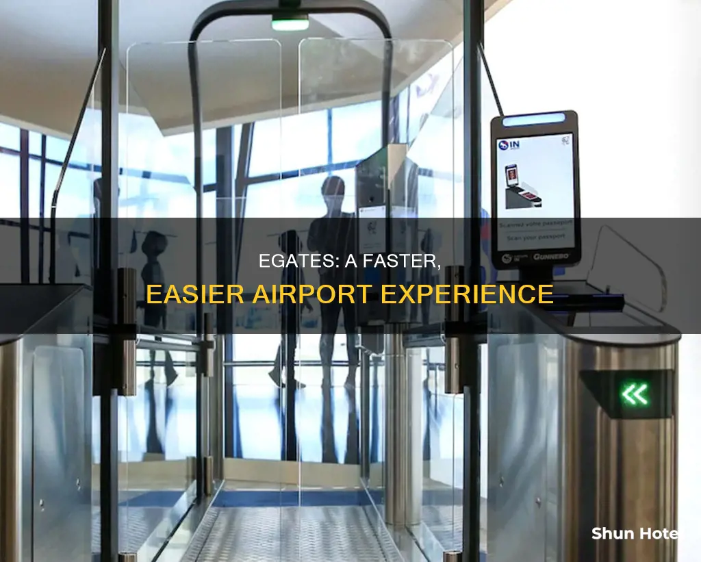 what is e gate at airport