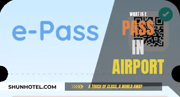 E-Pass Convenience: How to Skip Long Airport Lines