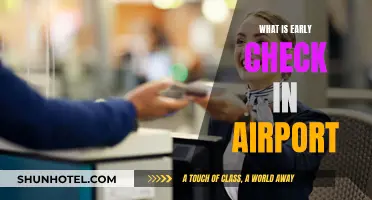 Early Check-In: A Stress-Free Airport Experience