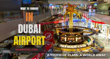 Explore Dubai Airport's Unique Attractions