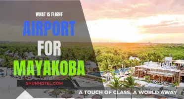 Mayakoba: Airport and Flight Information