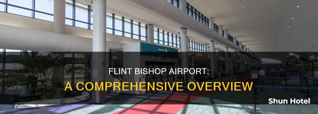 what is flint michigan airport like