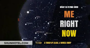 Discover What's Flying Overhead: Real-Time Sky Tracking Explained