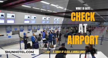 Gate Check: Airport Security Procedure