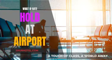 Understanding Airport Gate Holds: Delays and Solutions
