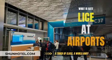 Gate Lice: Understanding Airport Boarding Chaos