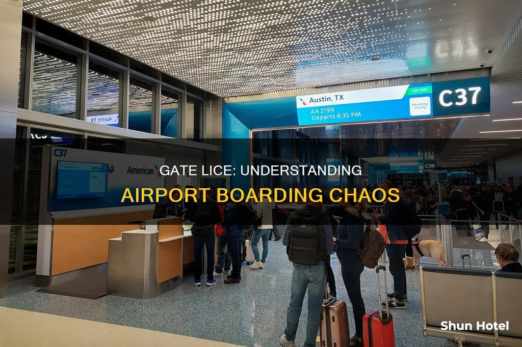 what is gate lice at airports