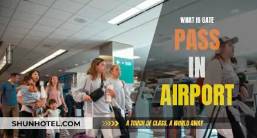 Airport Gate Pass: What's the Deal?