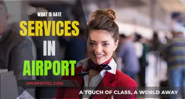 Gate Services: A Guide to Airport Efficiency