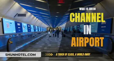 Green Channel: A Seamless Airport Experience
