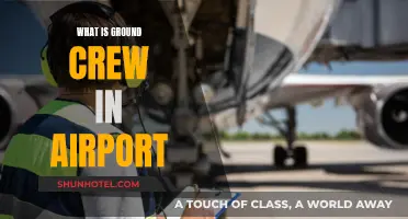 Ground Crew: The Unseen Airport Heroes