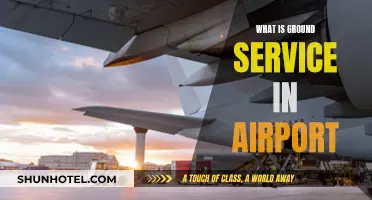 Ground Services: The Airport's Operational Backbone