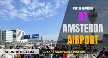 Amsterdam Airport: What's Happening and Why?