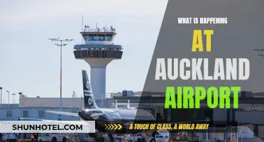 Auckland Airport: What's Happening and Why It Matters