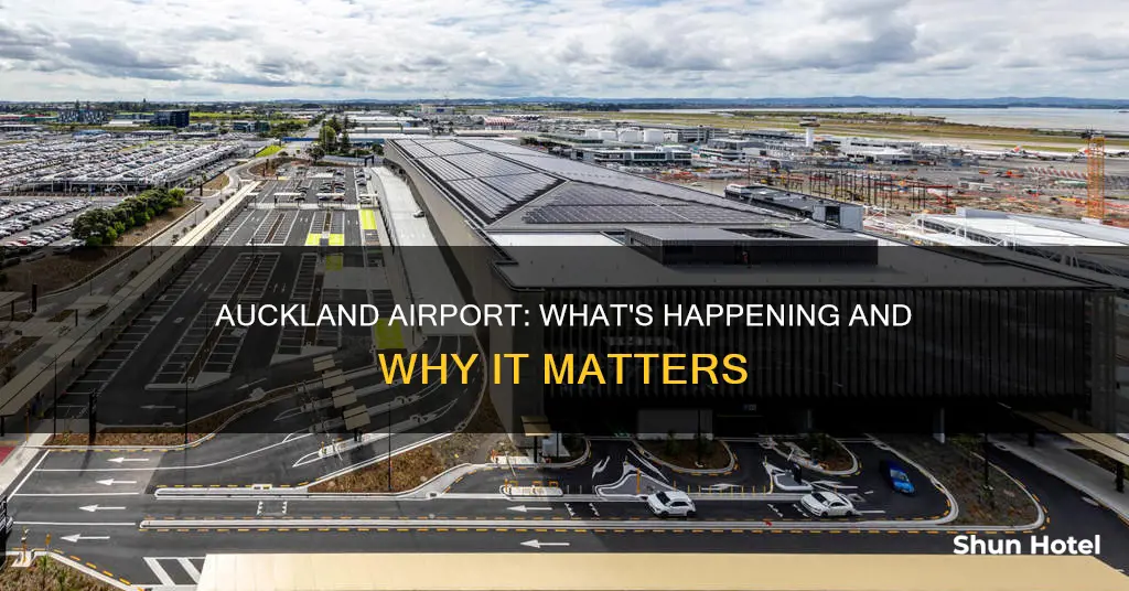 what is happening at auckland airport