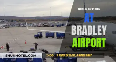 Travel Chaos at Bradley Airport: What's Happening?