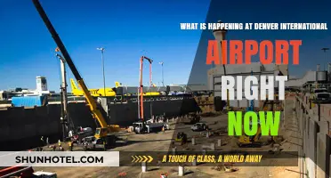 Denver International Airport Updates: Current Events and Travel Alerts