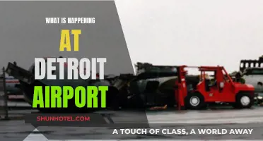 Detroit Airport: What's Happening and Why