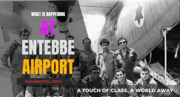 Entebbe Airport: What's Happening and Why it Matters