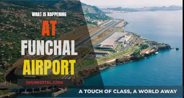 Funchal Airport: What's Happening and Why It Matters