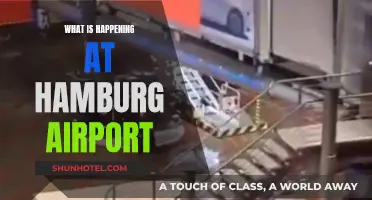 Hamburg Airport: What's Happening and Why it Matters