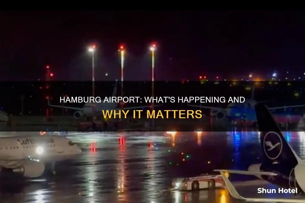 what is happening at hamburg airport