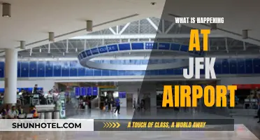 JFK Airport: Chaos, Delays, and Cancellations