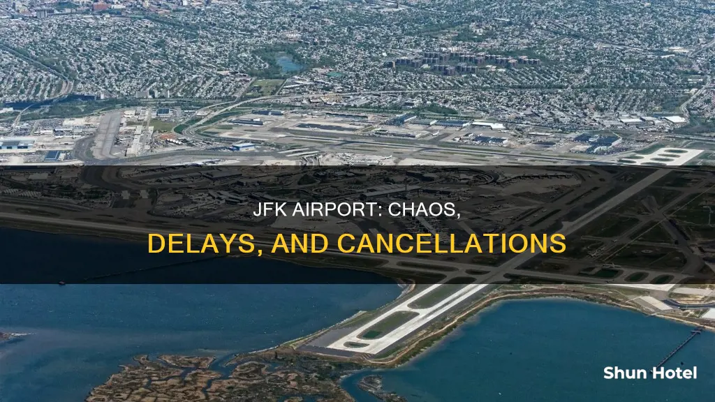 what is happening at jfk airport