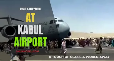 Chaos at Kabul Airport: A Desperate Exodus