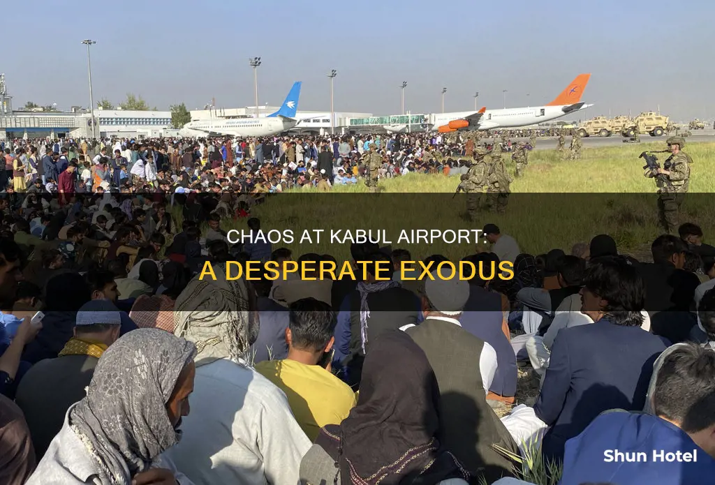 what is happening at kabul airport