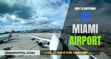 Miami Airport: Chaos and Confusion