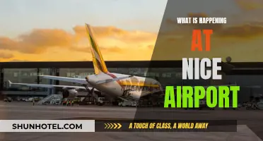 Unusual Events: Nice Airport