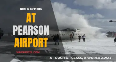 Travellers' Woes: Pearson Airport Chaos Explained