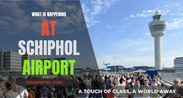 Chaos at Schiphol: What's Happening at the Airport?