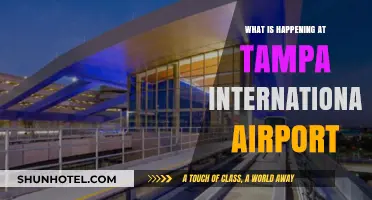 Tampa International Airport Updates: Latest Developments and News
