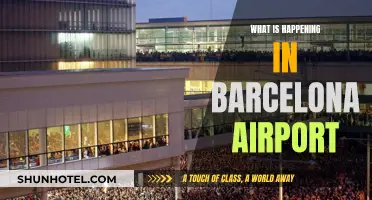 Barcelona Airport: Unraveling the Chaos