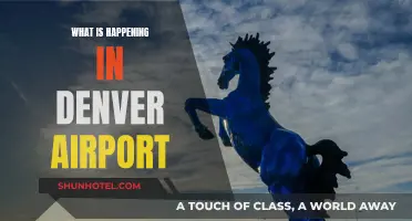 Denver Airport: What's Happening and Why It Matters