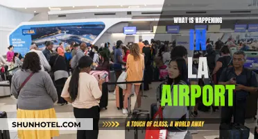 LAX Turmoil: Delays, Cancellations, and Frustrated Passengers