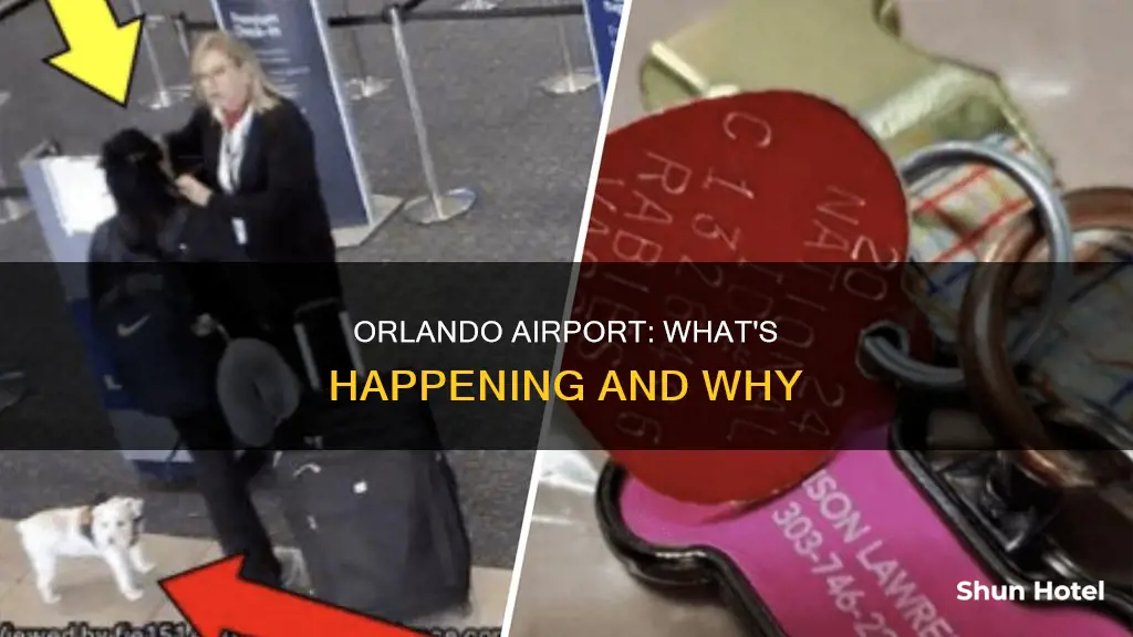 what is happening in orlando airport