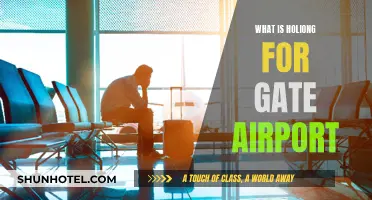 Holding Pattern for Gate: Airport Efficiency