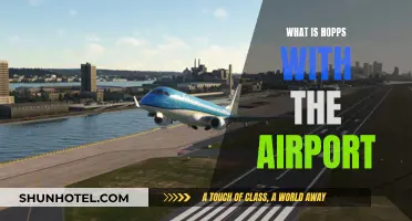 The Chaos at Airports: What's Going On?