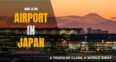 Explore Japan's IBR Airport: A Comprehensive Guide