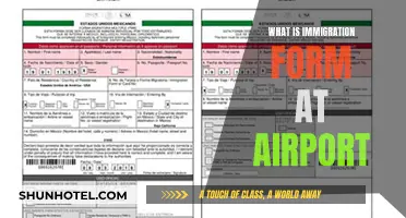 Immigration Forms: Airport Arrival Essentials