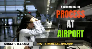 Immigration Process: Airport Arrival Guide