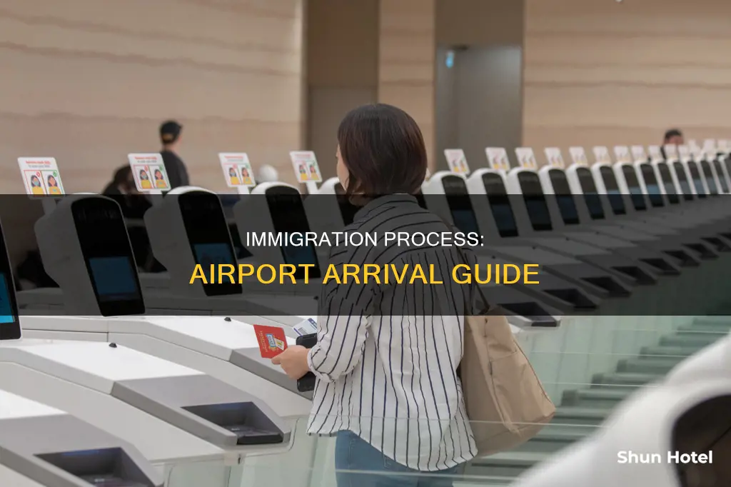 what is immigration process at airport