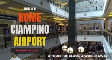 Explore Ciampino Airport: Rome's Gateway to the World